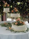 Wedding Cake Ideas